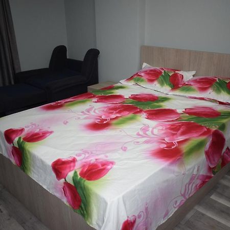 Apartament Parc Central Rhbm Baia Mare Esterno foto