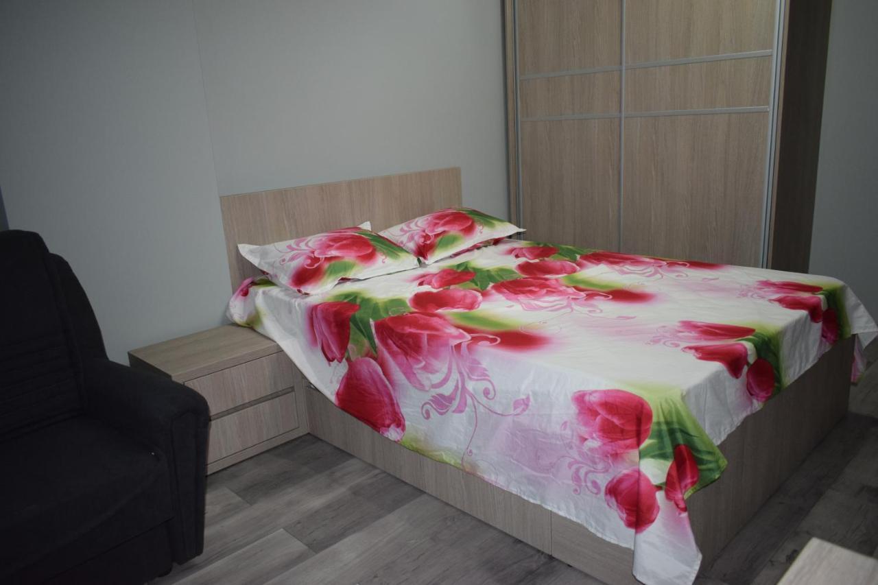 Apartament Parc Central Rhbm Baia Mare Esterno foto